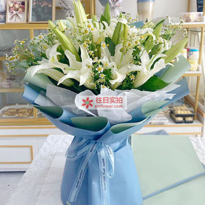 南通8支白色多头百合洋甘菊,互倾的思念