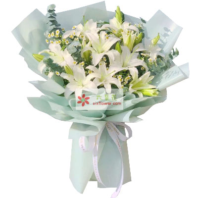 南通6支白色多头百合，温馨的祝福